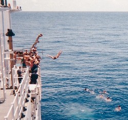 Swim Call 